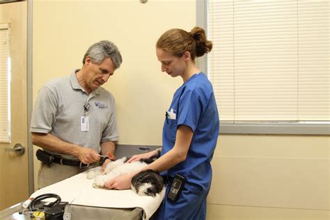cmdvq|vra veterinary emergency.